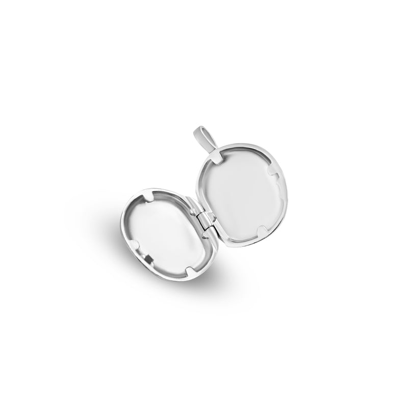 925 Sterling Silver Necklace [Medallion]