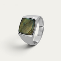 Siegelring 925 Silber mit grau-grünem Stein [Larvikit]