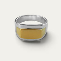 Siegelring 925 Silber & Gold [Edgy]