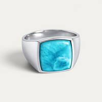 Siegelring 925 Silber mit blauem Stein [Larimar]