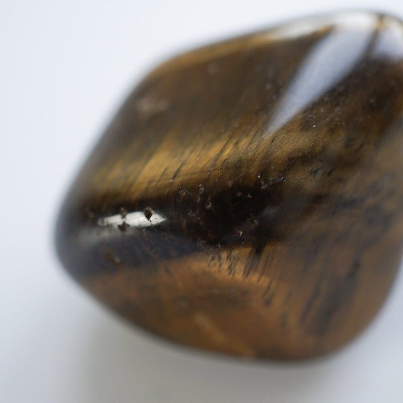 Siegelring Tigerauge Ringe Sprezzi 