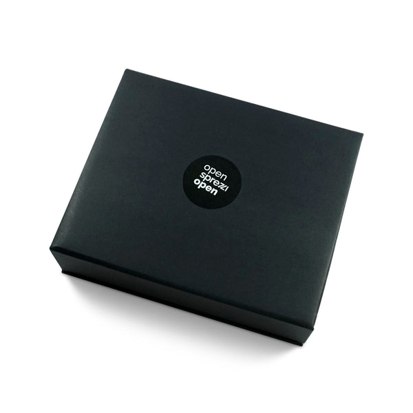 Reinigungsset für Silberschmuck mit feiner Bürste und Reinigungsspray ideal für Zuhause Sprezzi Fashion