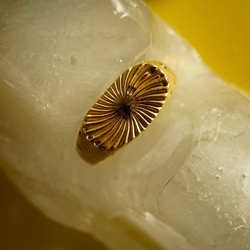Männer Ring aus Gold minimalistisch Sprezzi Fashion
